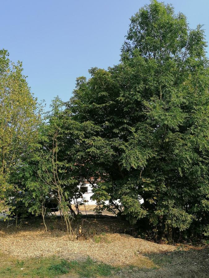 Camping Weides Kups Bagian luar foto